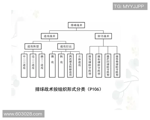 上海排球队进攻策略深度解析与战术创新探讨