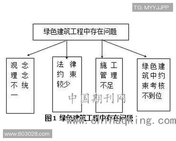 重庆羽毛球队的默契配合与战术探讨及其对比赛成绩的影响分析