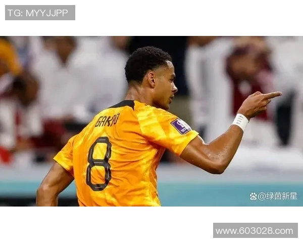 加克波:从新星崛起到足球巨星的成长之路与未来展望