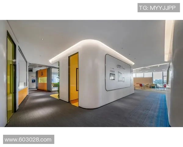 深圳羽毛球队的崛起与发展探索展现运动精神与团队力量